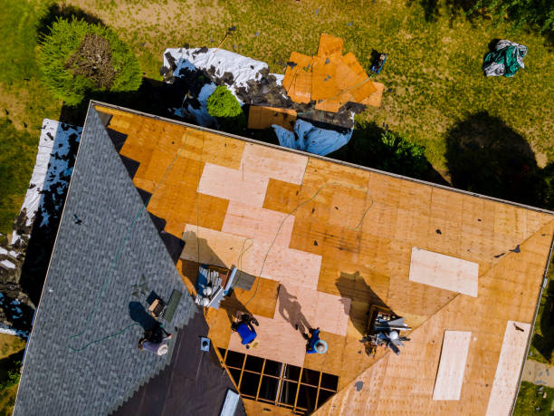 Best Roofing Contractors for Homes  in Harriman, TN