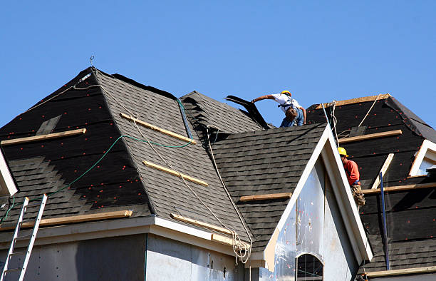 Best Affordable Roofing Company  in Harriman, TN