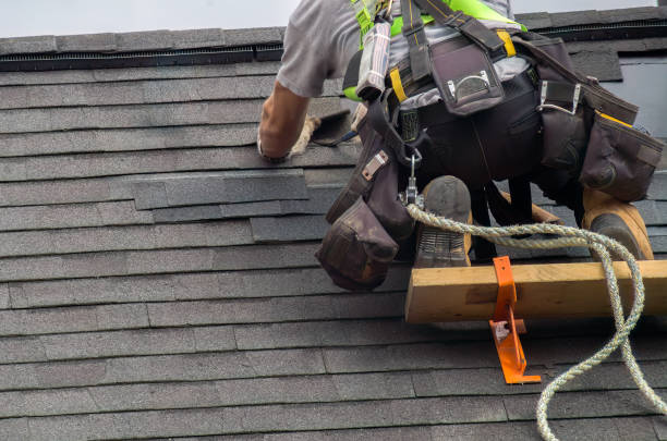 Best Roof Gutter Cleaning  in Harriman, TN