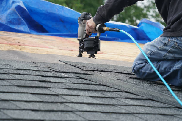 Best Local Roofing Companies  in Harriman, TN