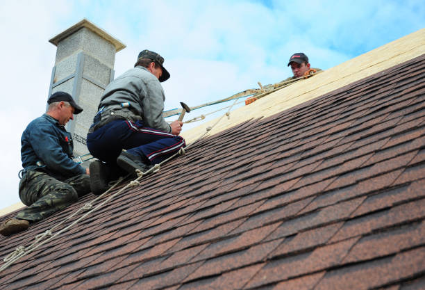 Best Storm Damage Roof Repair  in Harriman, TN
