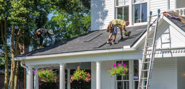 Best Roof Gutter Cleaning  in Harriman, TN