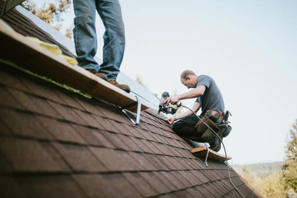 Best New Roof Installation  in Harriman, TN
